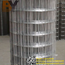 Galvanized PVC Coated Stainless Steel Welded Wire Mesh